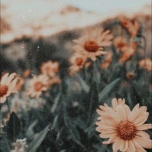 Meet your Posher, Briana